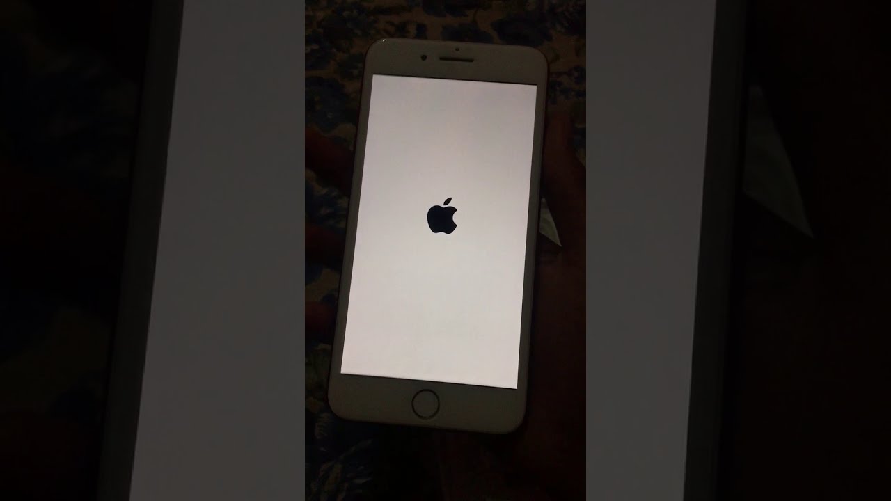 Iphone x plus face id. Iphone 7 plus model YouTube