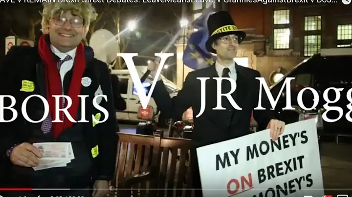 LEAVE v REMAIN Brexit Street Debates: GranniesAgai...