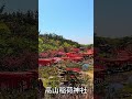 【Aomori】Walking Through Takayama Inari Shrine’s Red Torii Gates in Spring【4K】