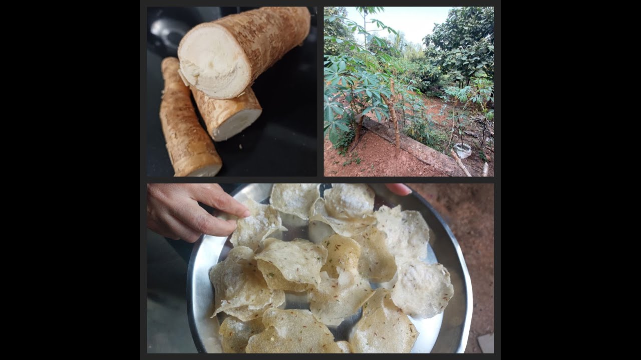 Cassava Papad- from root till serving...