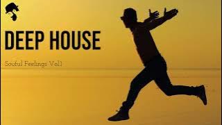 Gentleman - Deep House Mix [Soulful Feelings Vol.1]