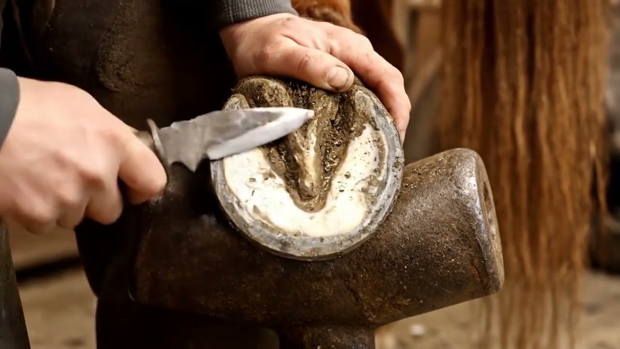 ❄️ Dry hoof care that works in dry weather 🥕 