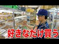 半世紀以上ムシ業界を支える昆虫ショップで爆買いした結果 半世紀以上ムシ業界を支える昆虫ショップで爆買いした結果