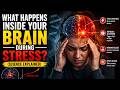 What Happens Inside Your Brain During Stress? (Science Explained)