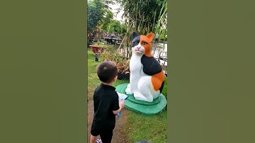 Tưởng Đô thúi không sợ con mèo, Ai dè đúng không dám nhúc nhích 🐱👶🤣 #dothui