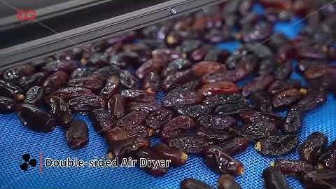 Palm Dates Washing Processing Machine Line #washing #dates