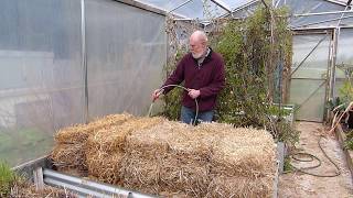 Creating an Organic Straw Bale Garden  - The conditioning process.