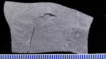 Identification Metamorphic Rock A02 Whole Rock Pan-and-Zoom