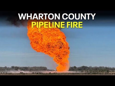 Busted Newspaper Wharton County 52