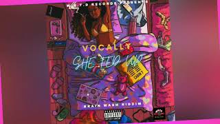 Vocally - She Fed Up (Official Visualizer) [Explicit]