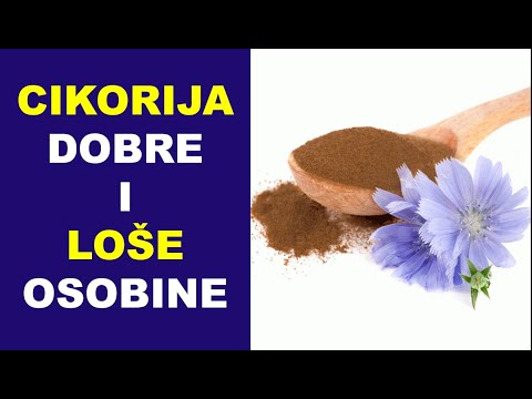 Video: Cvijet čokolade - Cikorija. Korisna I štetna Svojstva, Kontraindikacije