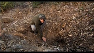 Témpano TVN - Cap 69: ¡No está el cuerpo!