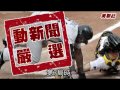 洋基轟垮落磯 老爹撞成大聯盟金球 2011.06.28