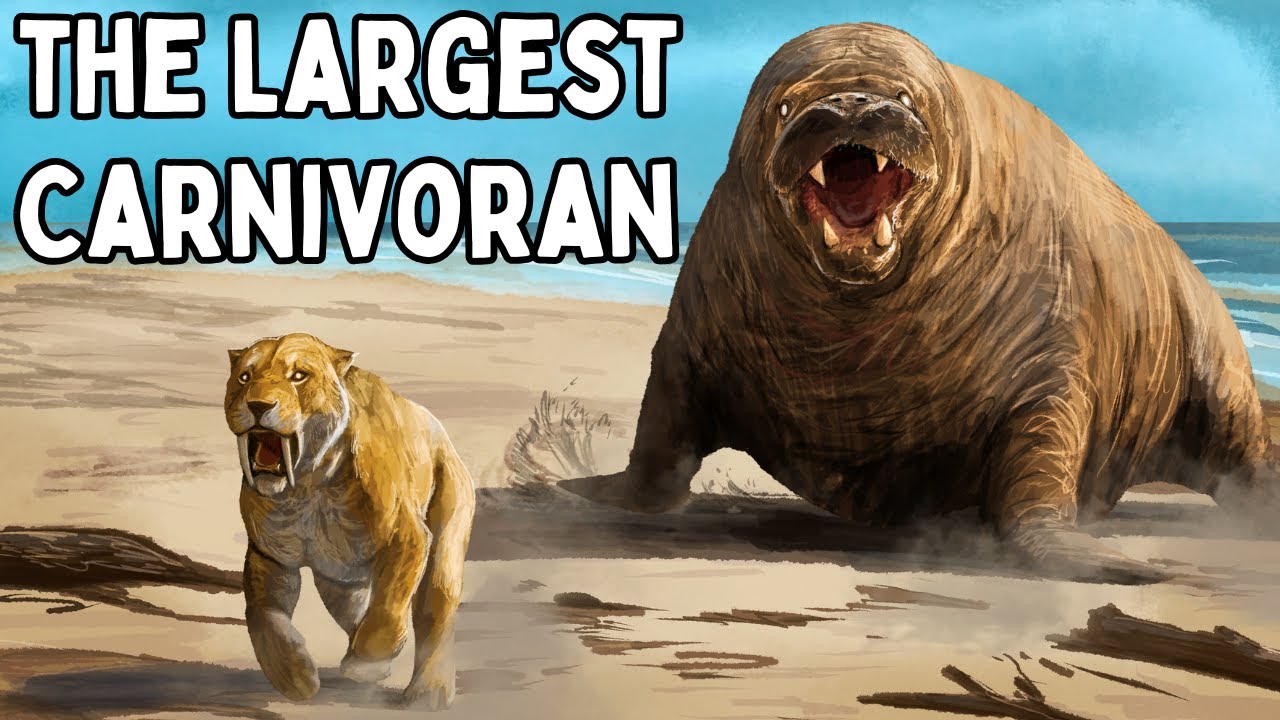The Largest Animals You've Never Heard Of
