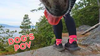 Dog’s POV Adventure 🐾 Vancouver, BC GoPro Hike | Bodycam Dog Walk