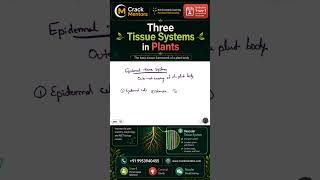 3 Tissue Systems in Plants | NEET Biology