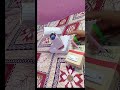 remode test power of light 🕯️#diy
