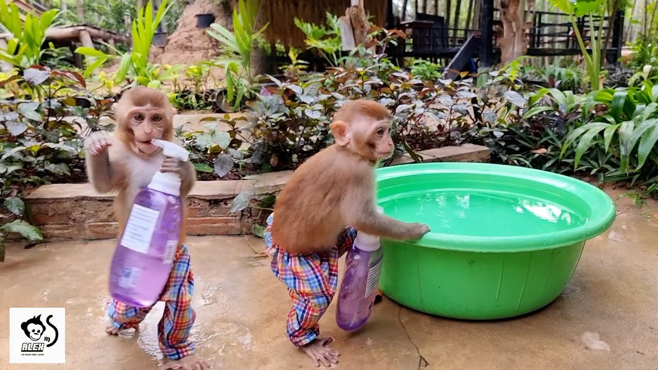 Smart Alex Cutely Deliver Shampoo for His Shower & Waiting for Mom