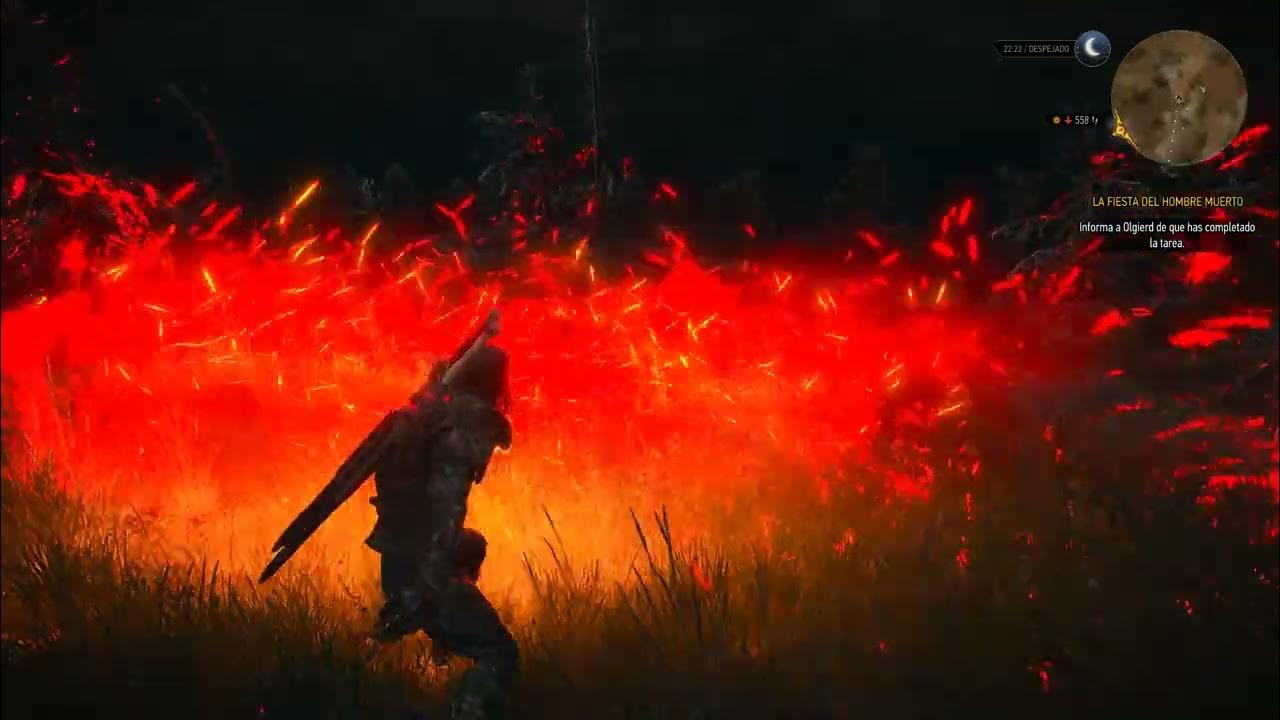 The Witcher 3 Reinald effects YouTube