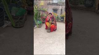 দেখেই মনটা খারাপ হয়ে গেলো 🤦#plants #gardening #gardeningtips #youtubeshorts