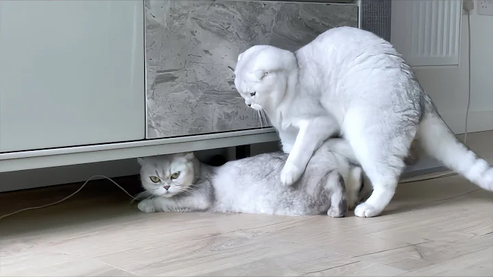 Watch the video about Day 2