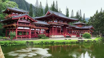 iPhone 12 Max Pro 4K Filmic Pro 6.13.1 10-bit Log V3 test