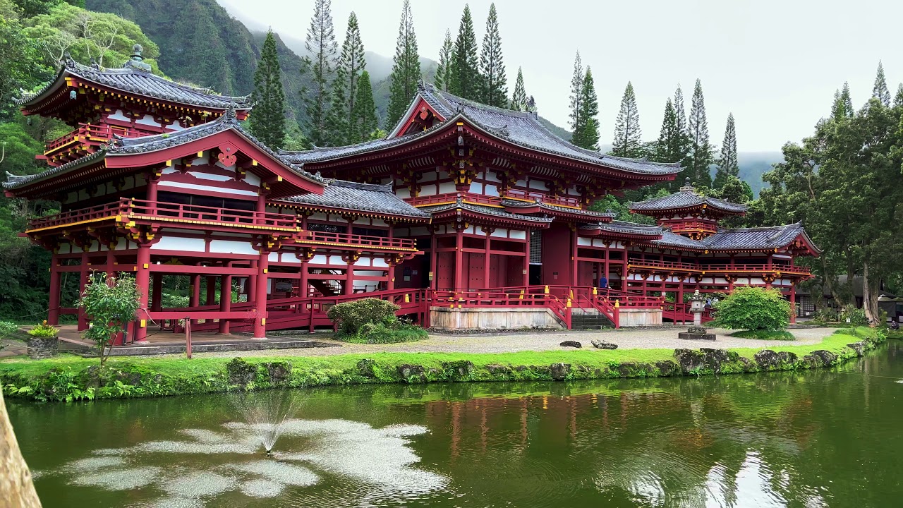 iPhone 12 Max Pro 4K Filmic Pro 6.13.1 10-bit Log V3 test