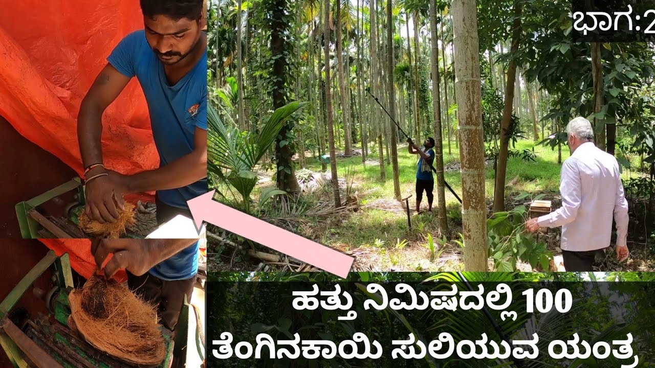 ಕಡಿಮೆ ಕೆಲಸಗಾರರನ್ನು ಬಳಸಿಕೊಂಡು ತೋಟ ನಿರ್ವಹಣೆ ಮಾಡಬೇಕು... ಕಾಯಿ ಸುಳಿಯಲು ತುಂಬಾ ಜನ ಬೇಕಾಗಿಲ್ಲ ಒಬ್ಬರೇ ಸಾಕು ತೆಂ