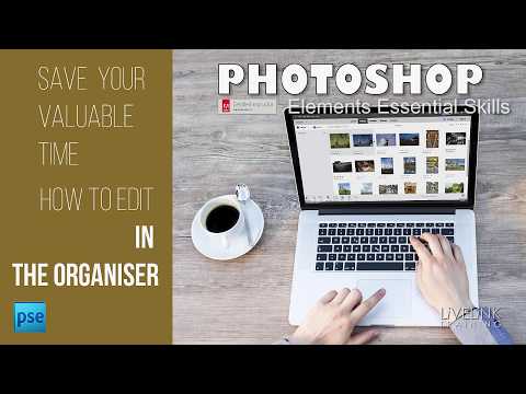 Instant Fix in the Photoshop Elements Organiser