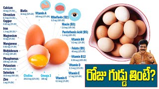 రోజు గుడ్డు తింటే ఏం జరుగుతుంది | Brown Eggs Vs. White Eggs, Which Is Healthier egg