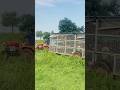 Mobile Chicken Coop: How Farmers Transport Large Flocks of Free-Range Poultry