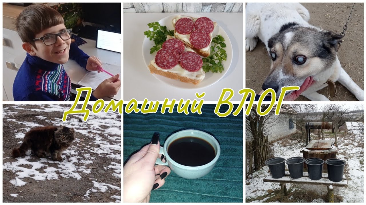 Домашний ВЛОГ. Мини зоопарк. Уроки. Домашние дела.