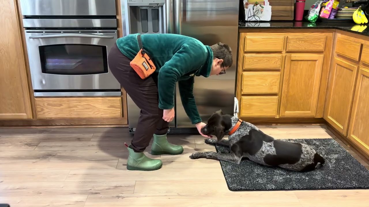 Demo: stay on mat while human does increasingly exciting movements, with Chente