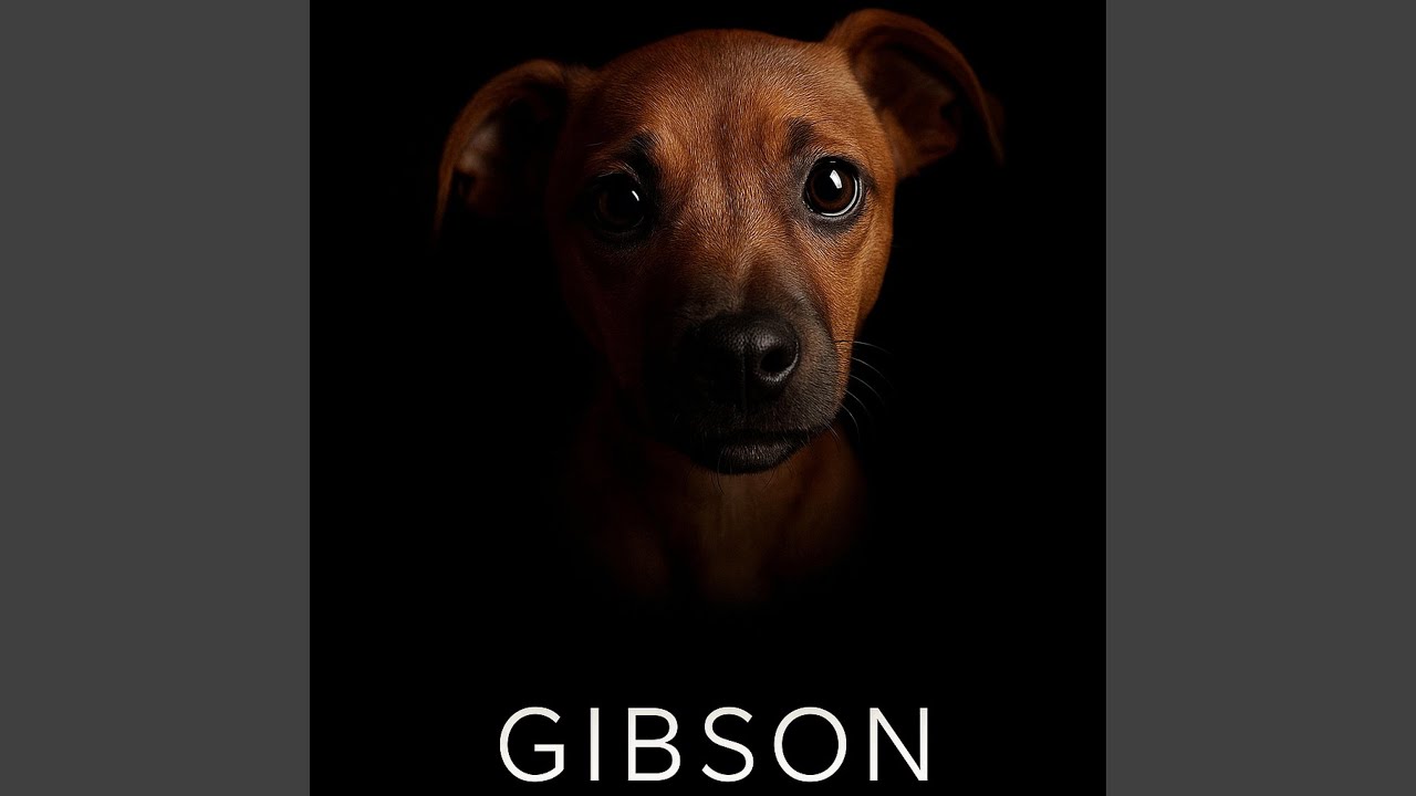 Watch Gibson on YouTube Watch Gibson on YouTube