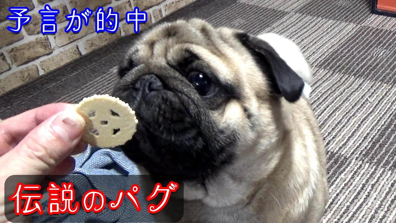 4-youtube