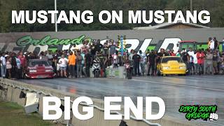 MUSTANG VS MUSTANG