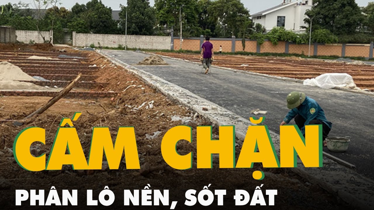 Nhiều tỉnh, thành phố cấm phân lô bán nền, chặn sốt đất - youtube