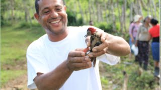 DE LA CIUDAD AL CAMPO CONSEJOS DE MI HERMANO JOSÉ MIGUEL ZORRILLA