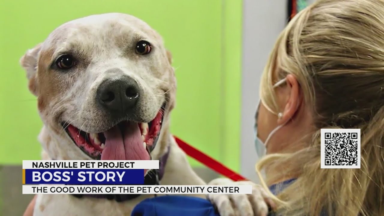 Nashville Pet Project: Good work of the Pet Community Center