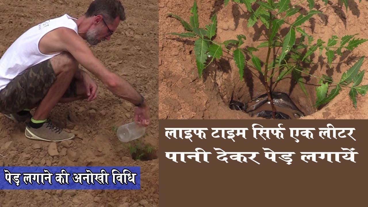 पेड़ लगाने की अनोखी विधि : लाइफ टाइम एक बार महज एक लीटर पानी देकर पेड़ लगायें