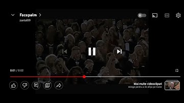 Me When TheProGamer77776YT And His Sockpuppets Still Being Racist And Offenssive Black People