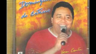 Dominguinhos do Estácio - Resumo