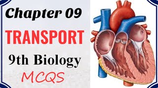 Biology chapter 9 MCQ's| Transport important MCQs| Biology 9th class chapter practice of quiz