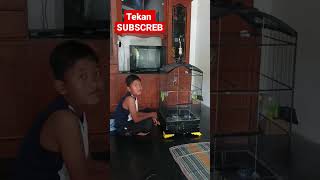 TONJOLAN GEREJA BODY #cendetsapudi #cms #anakancendet #masterancendet #cendetprestasi