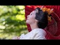【 男の背中 ・ 揺らぎ 】 増位山 Cover 共鳴覚醒IV 2024,11,12