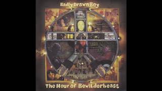 Watch Badly Drawn Boy This Song video