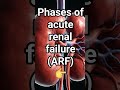 phases of ARF 👈 #nursingnotes #quicklearning