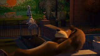 Famous Madagascar Part 04 Profile