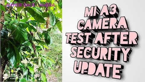 MI A3 Camera Test After May Security update With Android 10
