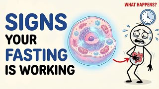 Celebrity Science Explained: What Happens When Fasting Starts Working? – 8 Signs You Need to Know. Wealth